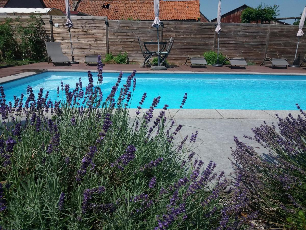 Chambres D Hotes ,Hotel ,Secret D'Une Nuit A Vicq Pres De Onnaing,Avec Piscine Eksteriør bilde